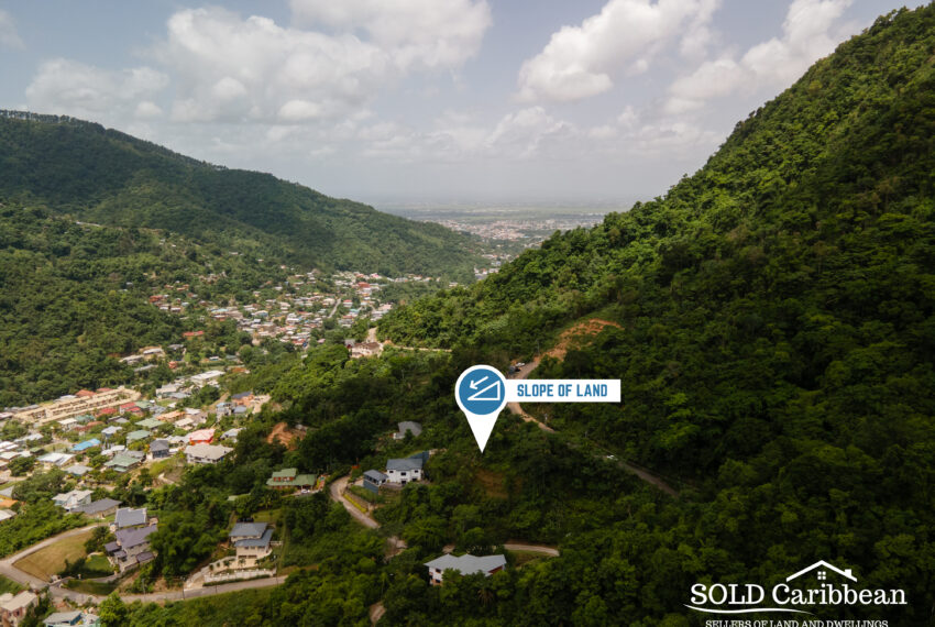 SOLD Caribbean - Maracas Gardens-2 copy
